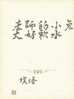 老师的小兔子好大好软水