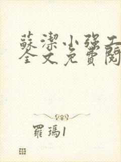 苏洁小强工地情全文免费阅读