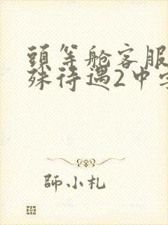 头等舱客服的特殊待遇2中字