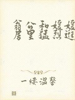 翁公和媛媛在厨房里猛烈进出