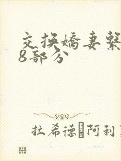 交换娇妻系列38部分