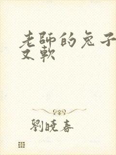 老师的兔子又大又软