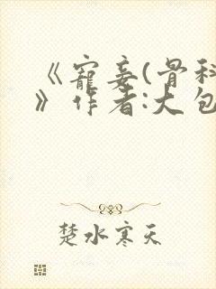 《宠妾(骨科)》作者:大包子