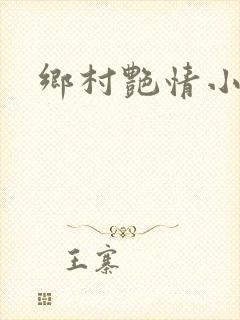 乡村艳情小说封面