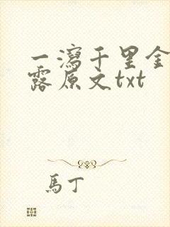 一泻千里金银花露原文txt