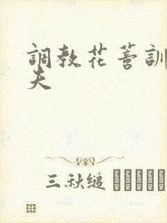 调教花蒂训诫从夫封面