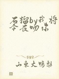 石榴by我将在今夜吻你封面