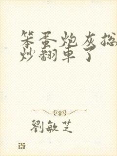 笨蛋炮灰总被爆炒翻车了