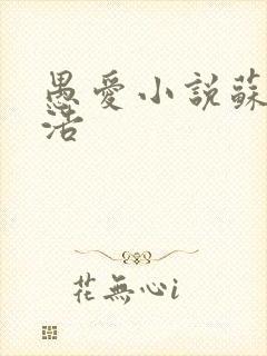 愚爱小说苏倩孙浩