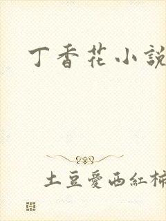 丁香花小说