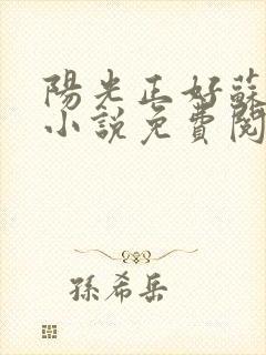 阳光正好苏玥玥小说免费阅读无弹窗