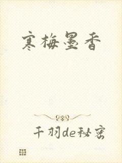 寒梅墨香封面
