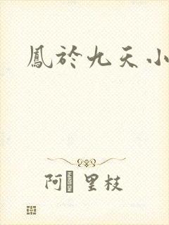 凤于九天小说