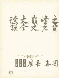 徐大巅峰之路小说全文免费阅读