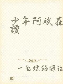 少年阿斌在线阅读