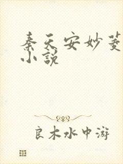 秦天安妙菱修仙小说