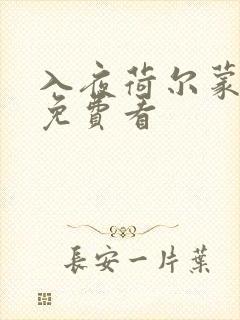 入夜荷尔蒙电影免费看