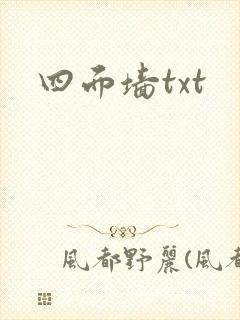 四面墙txt