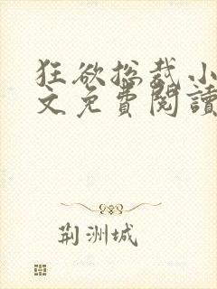 狂欲总裁小说全文免费阅读