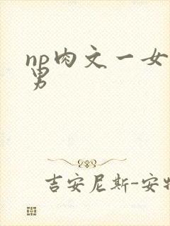 np肉文一女多男