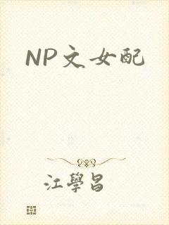 NP文女配