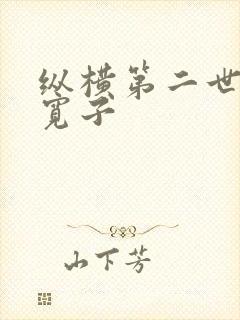 纵横第二世界 宽子