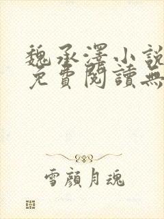 魏承泽小说全文免费阅读无弹窗笔趣封面