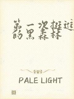 第一次挺进麻麻的黑森林