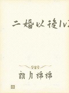 二婚以后1v2
