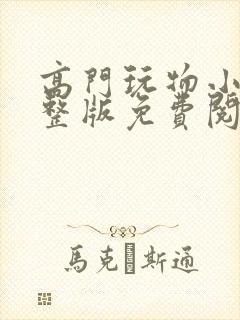 高门玩物小说完整版免费阅读