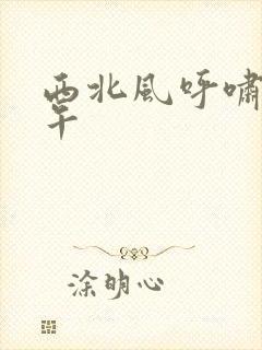 西北风呼啸的中午