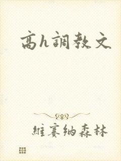 高h调教文