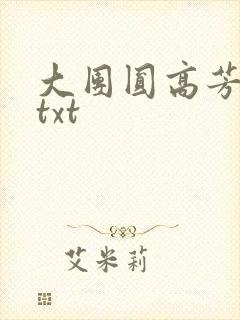 大团圆高芳小说txt