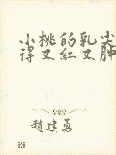 小桃的乳尖被吸得又红又肿