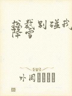 总裁别碰我 韩降雪