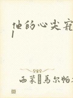 他的心尖宠1v1