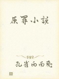原罪小说