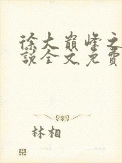 徐大巅峰之路小说全文免费阅读