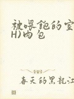 被喂饱的室友(H)肉包