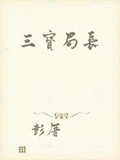 《三宝局长》小说封面