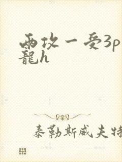 两攻一受3p双龙h