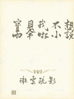 宝贝我不想带小雨伞啦小说