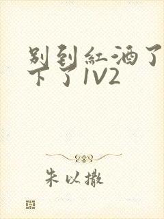 别到红酒了装不下了1V2