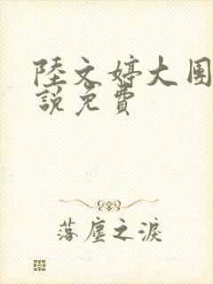 陆文婷大团圆小说免费