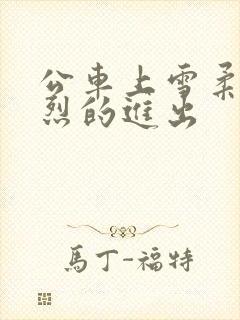 公车上雪柔被猛烈的进出