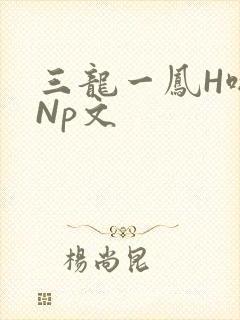 三龙一凤H啪肉Np文