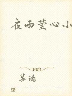夜雨莹心小说