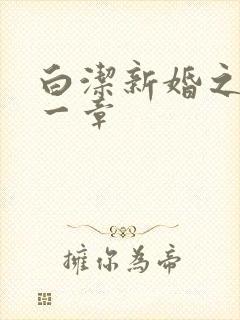 白洁新婚之夜第一章