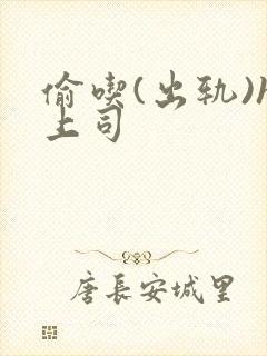 偷吃(出轨)h上司