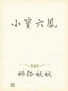 小宝六凤